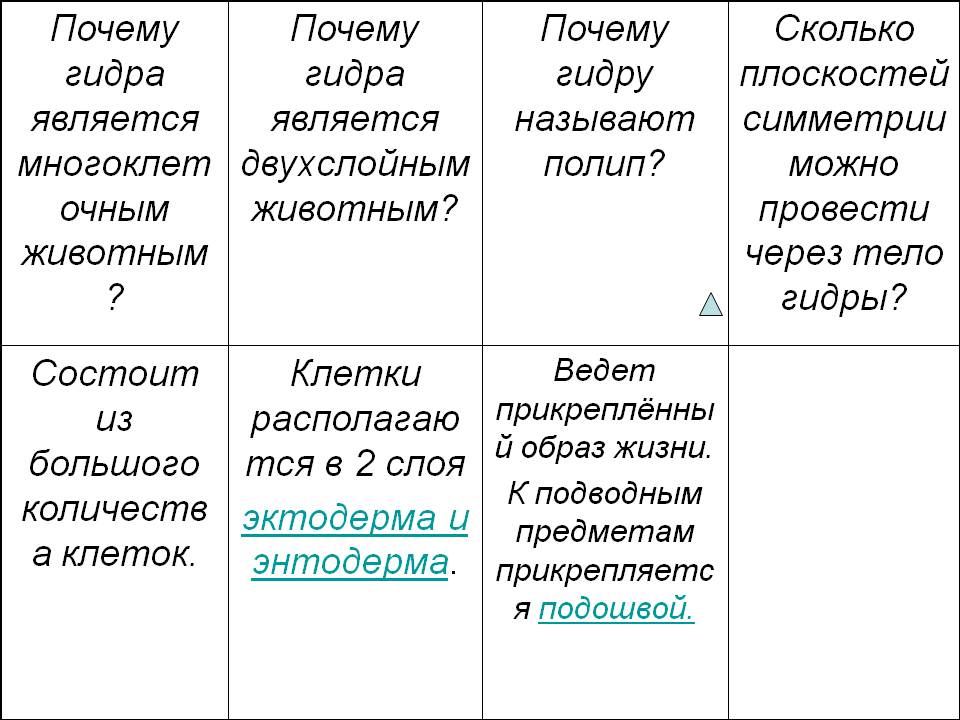 Кракен сайт маркет