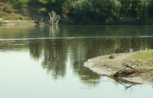Как вернуть деньги с кракена