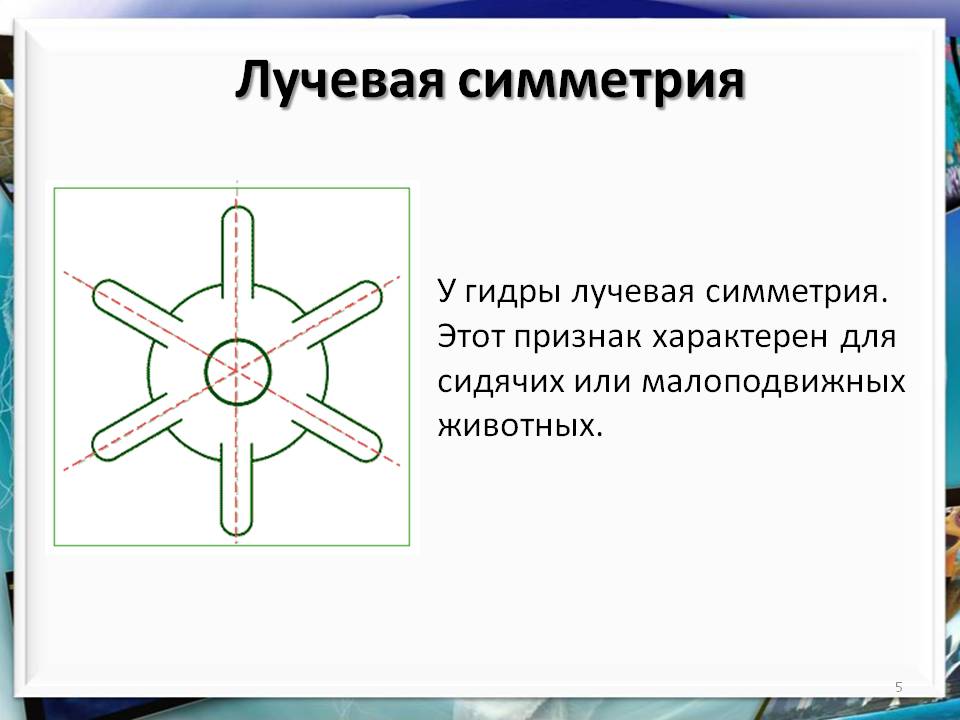 Кракен торговая площадка даркнет